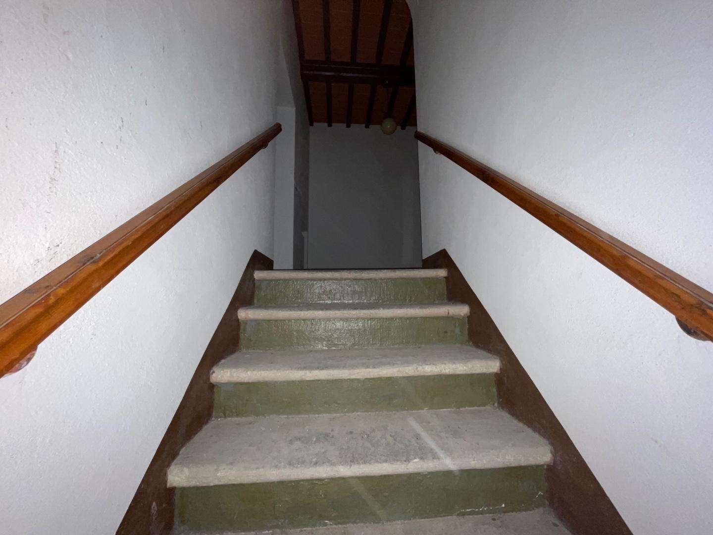  - foto 21