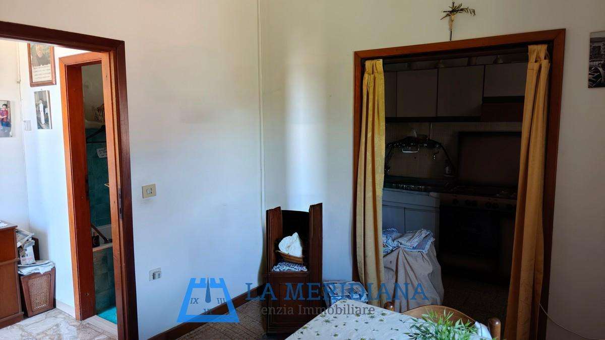  - foto 5