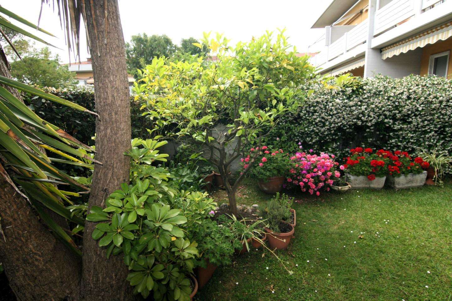  - foto 13