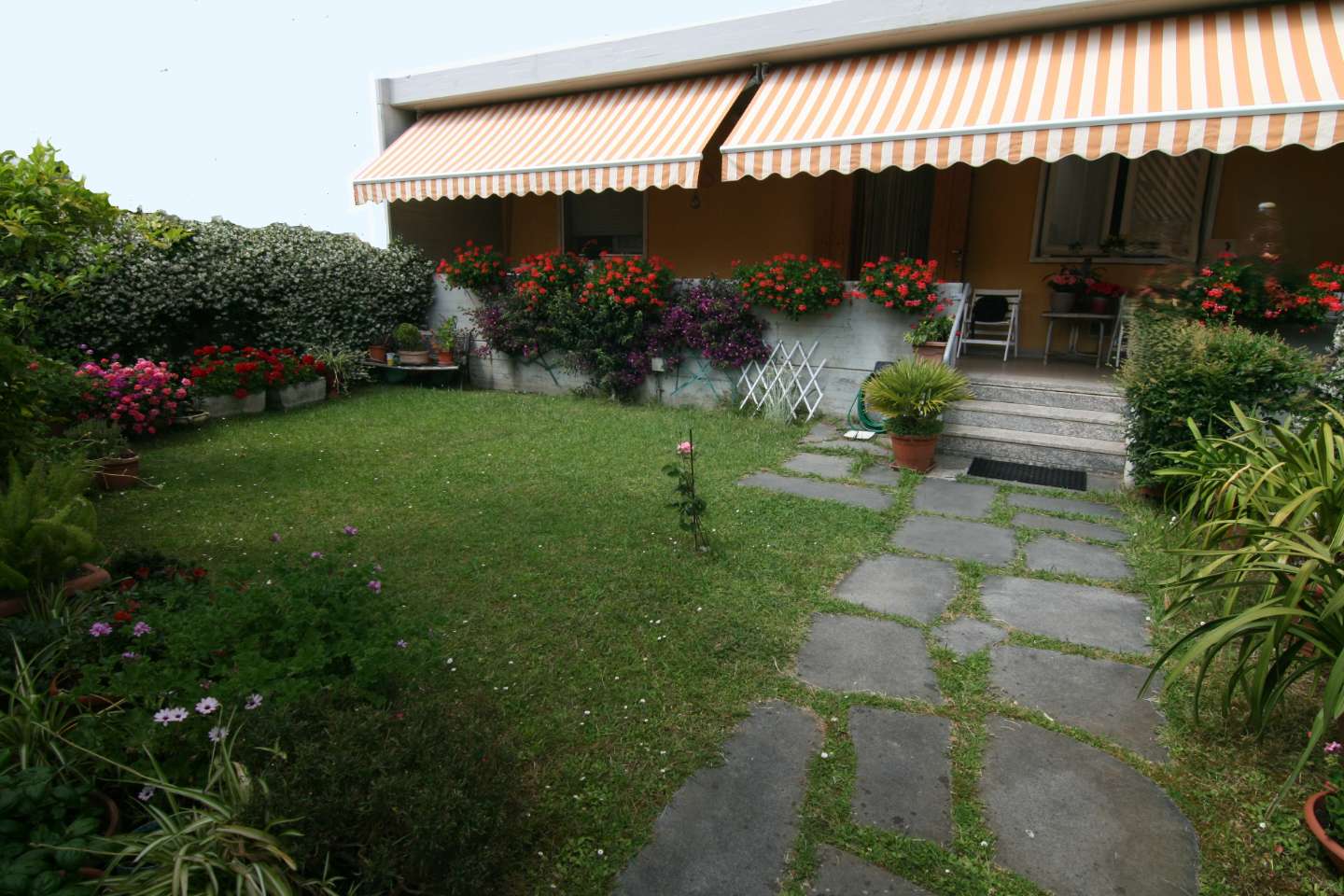  - foto 3