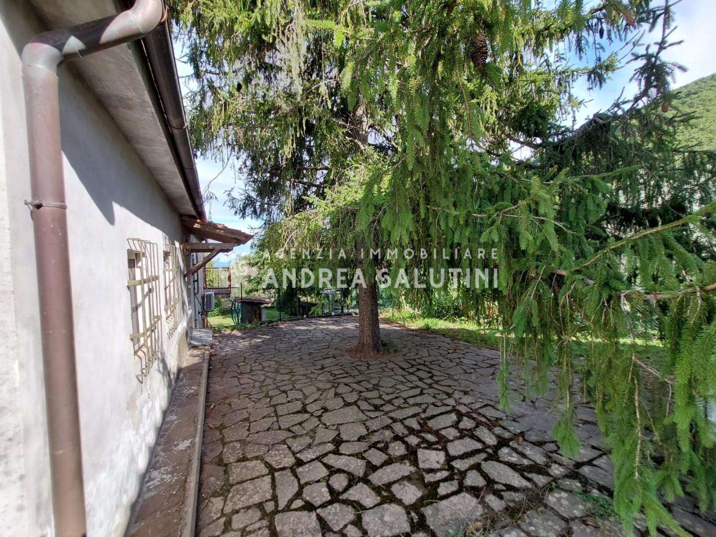  - foto 39