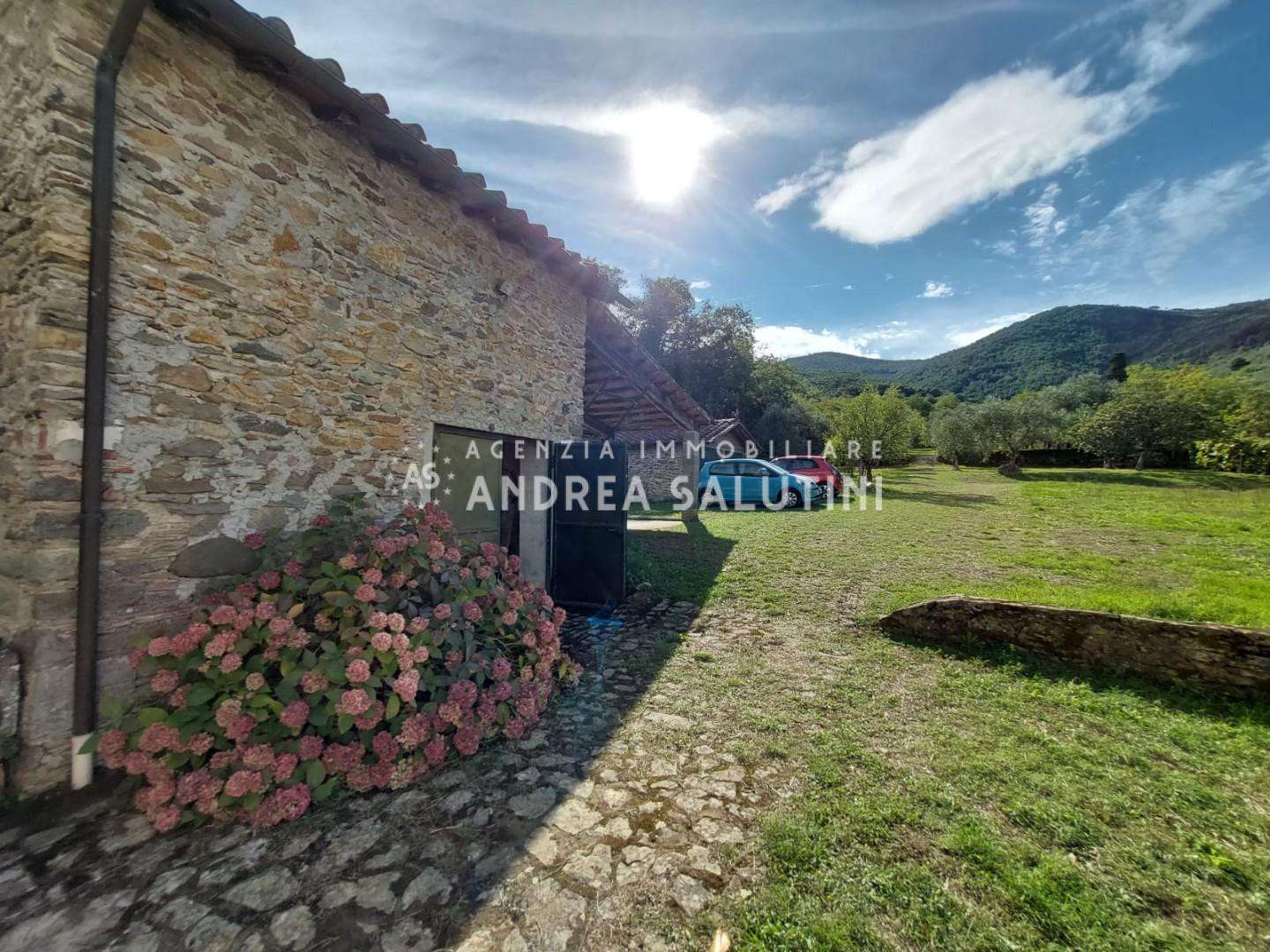  - foto 67