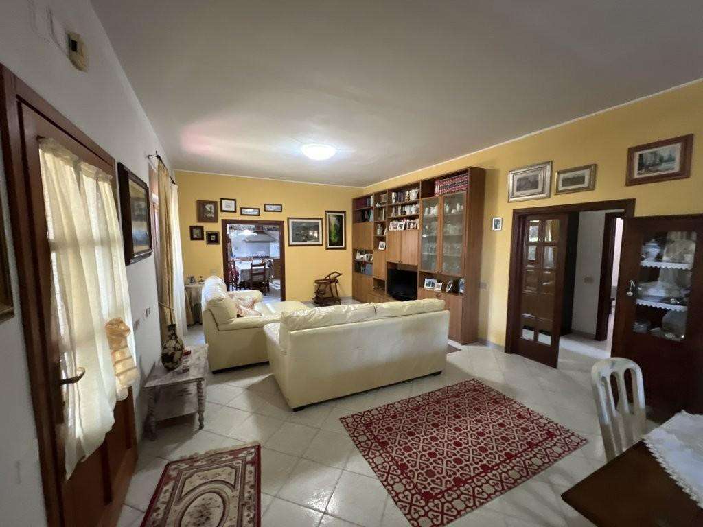  - foto 15