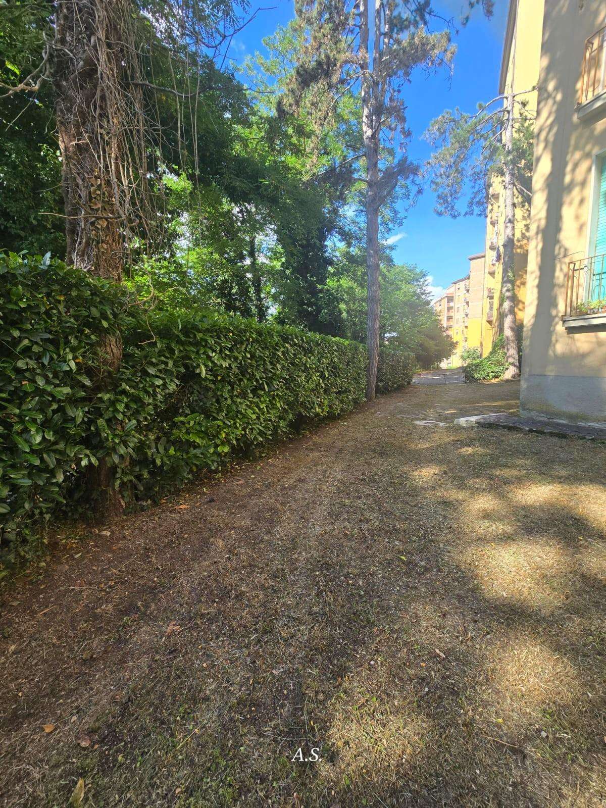  - foto 33