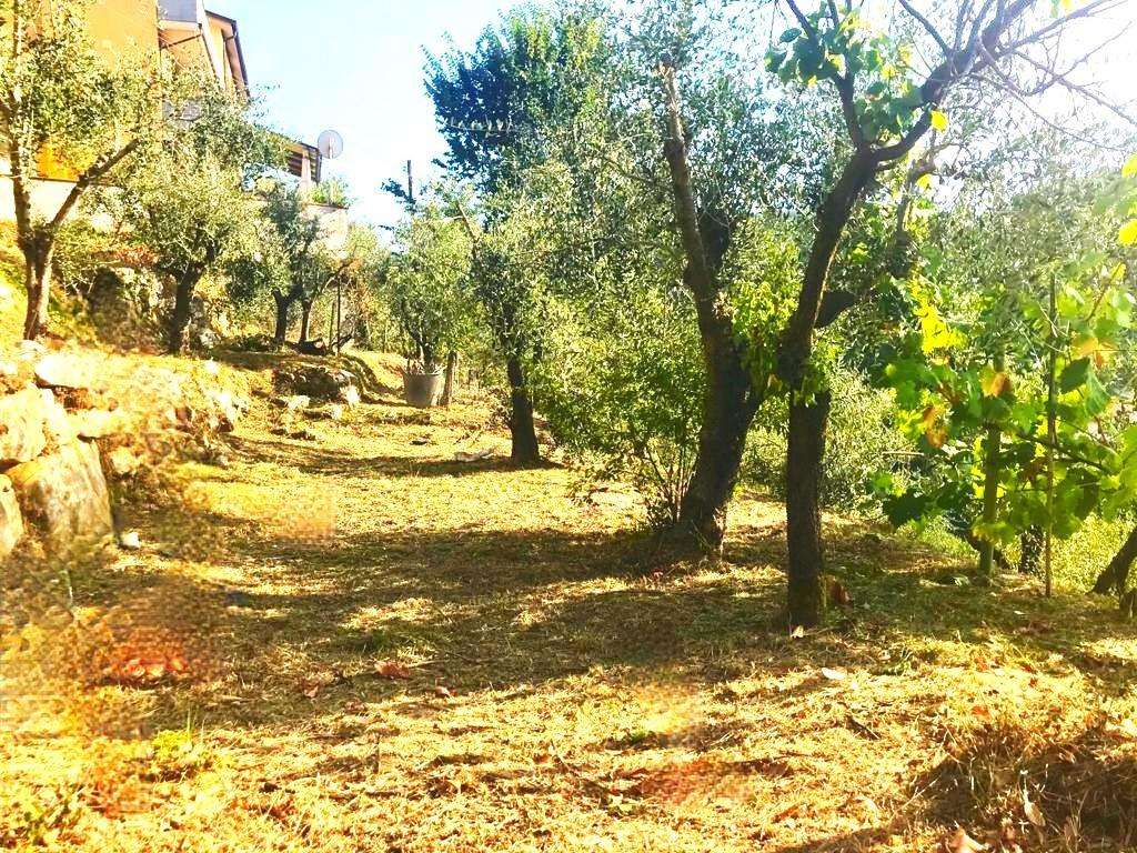  - foto 36