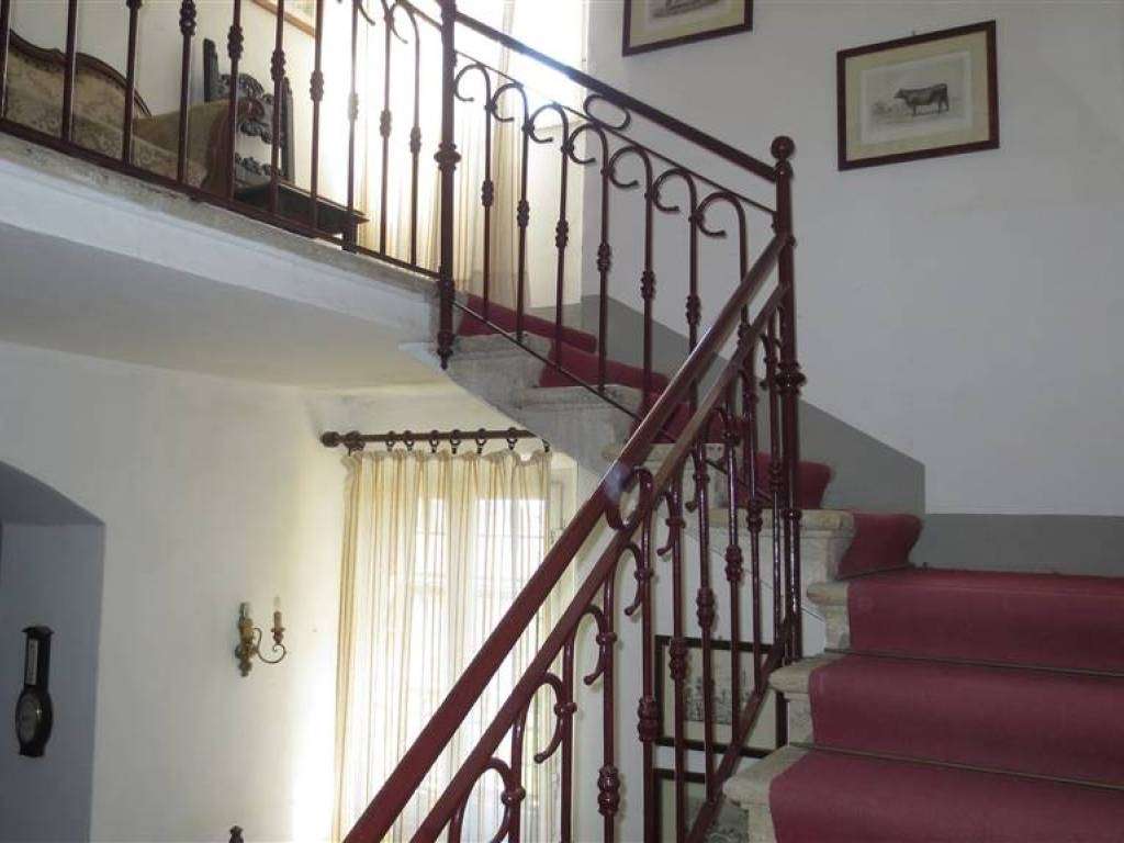  - foto 13