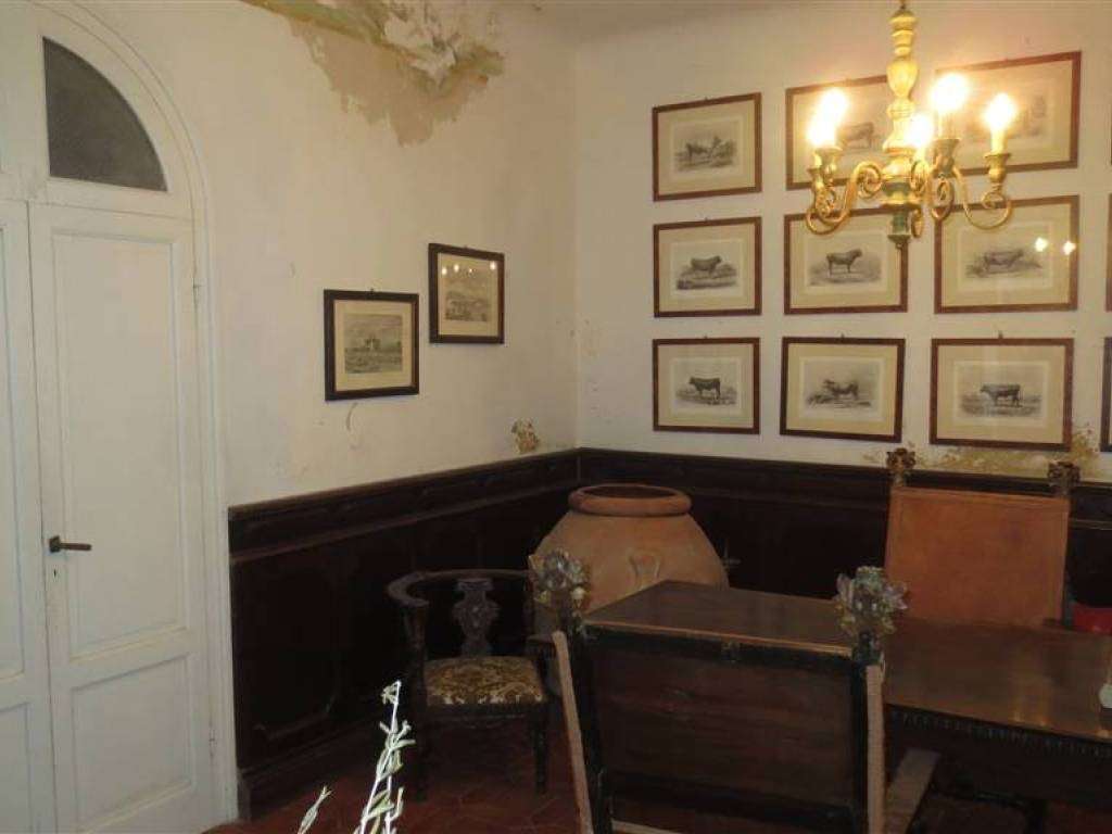  - foto 15