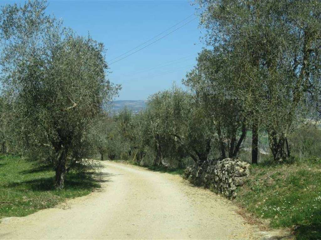  - foto 16