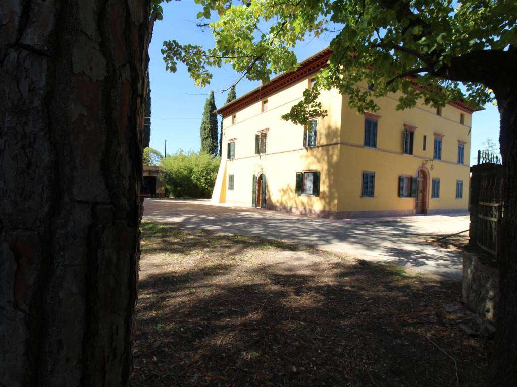  - foto 4