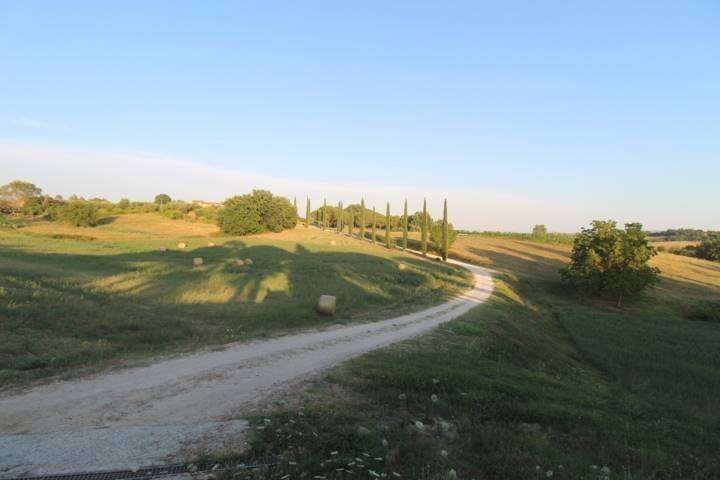  - foto 31