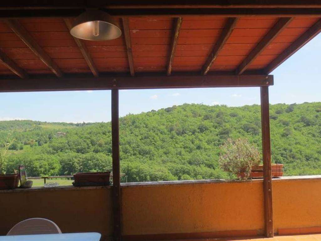 - foto 15