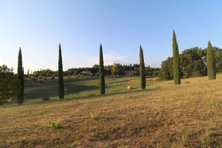  - foto 19