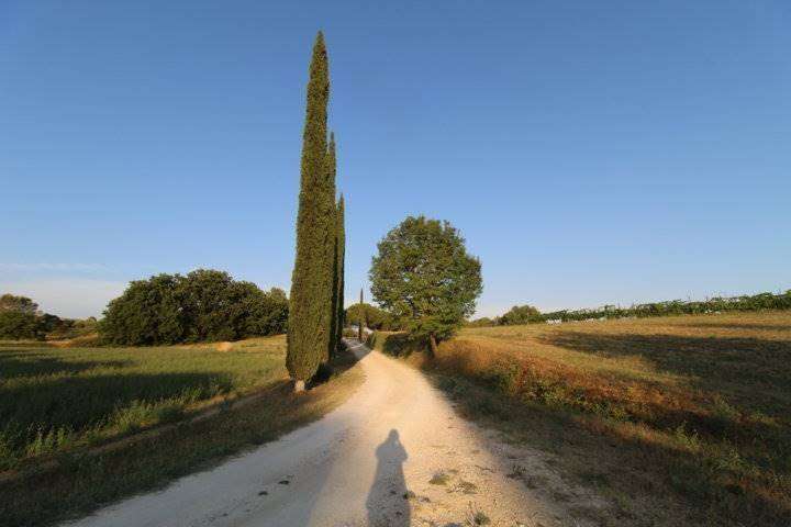  - foto 22