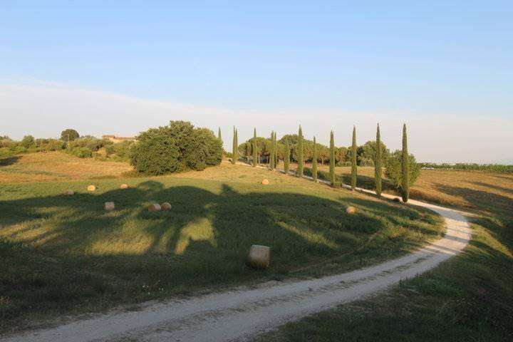  - foto 23