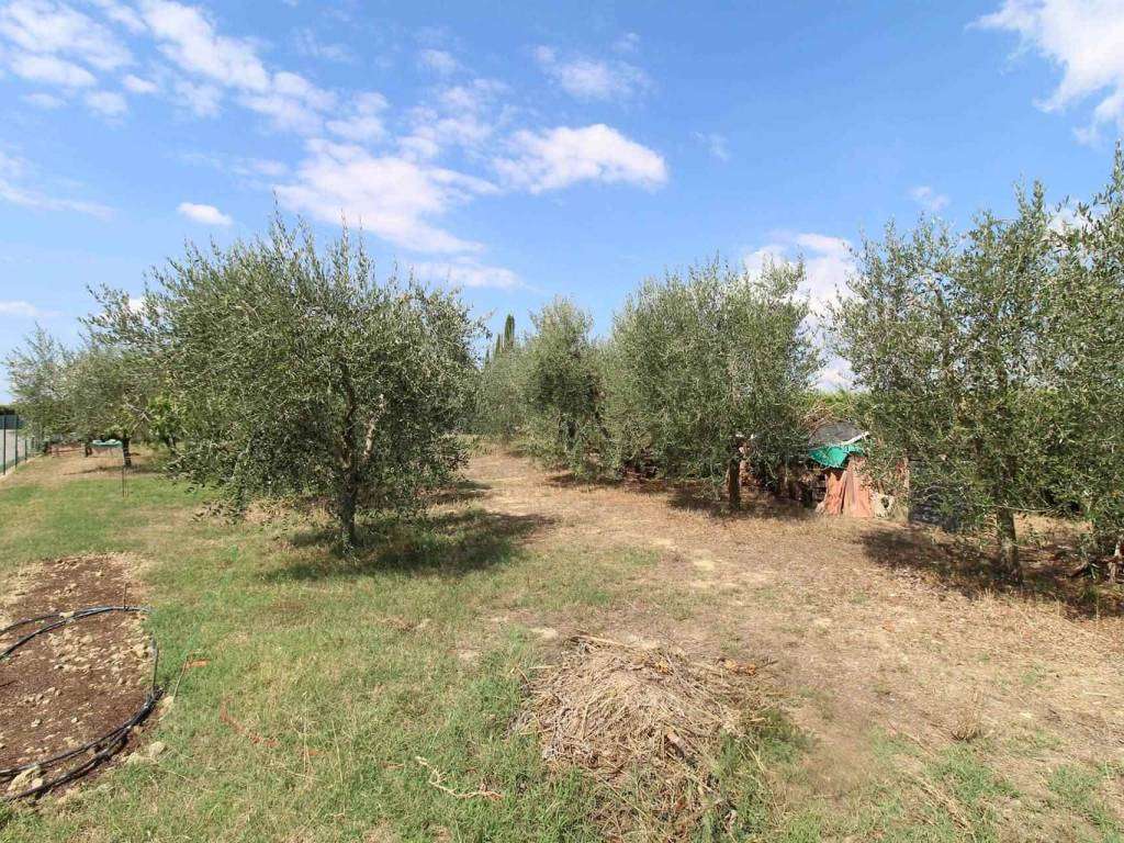  - foto 21
