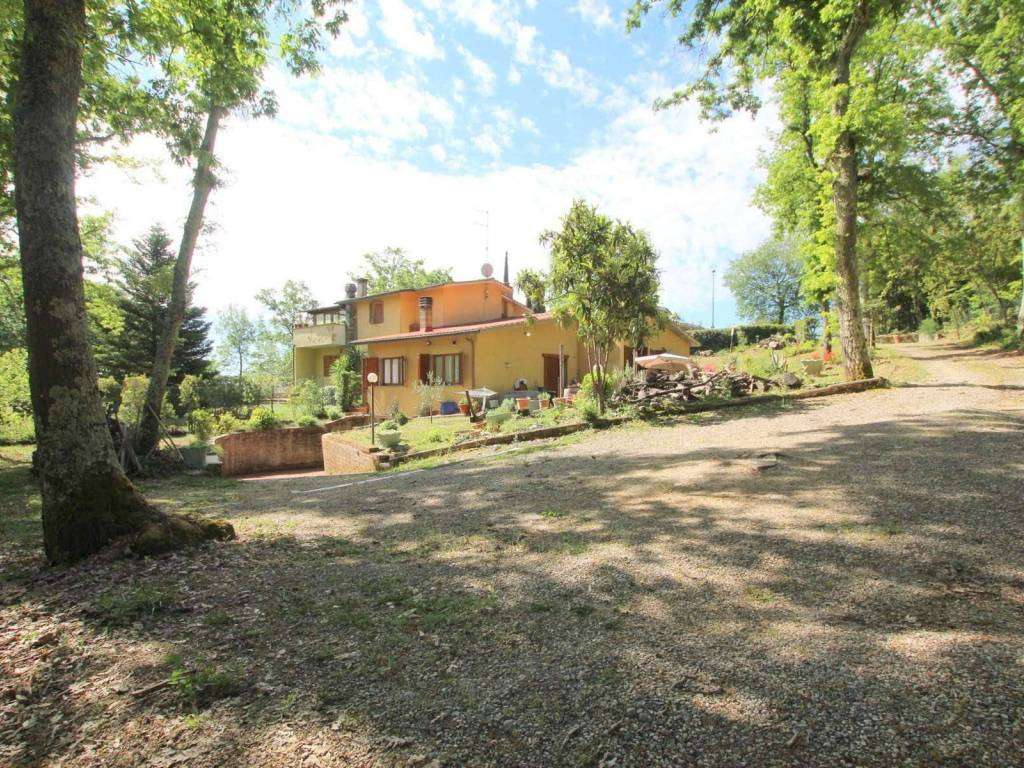  - foto 3