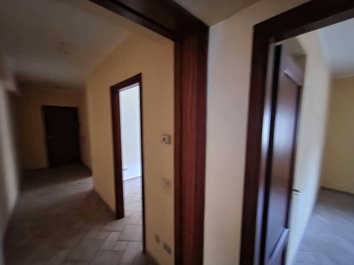  - foto 14