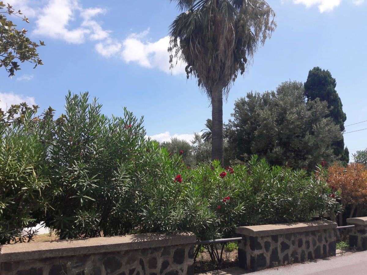  - foto 17