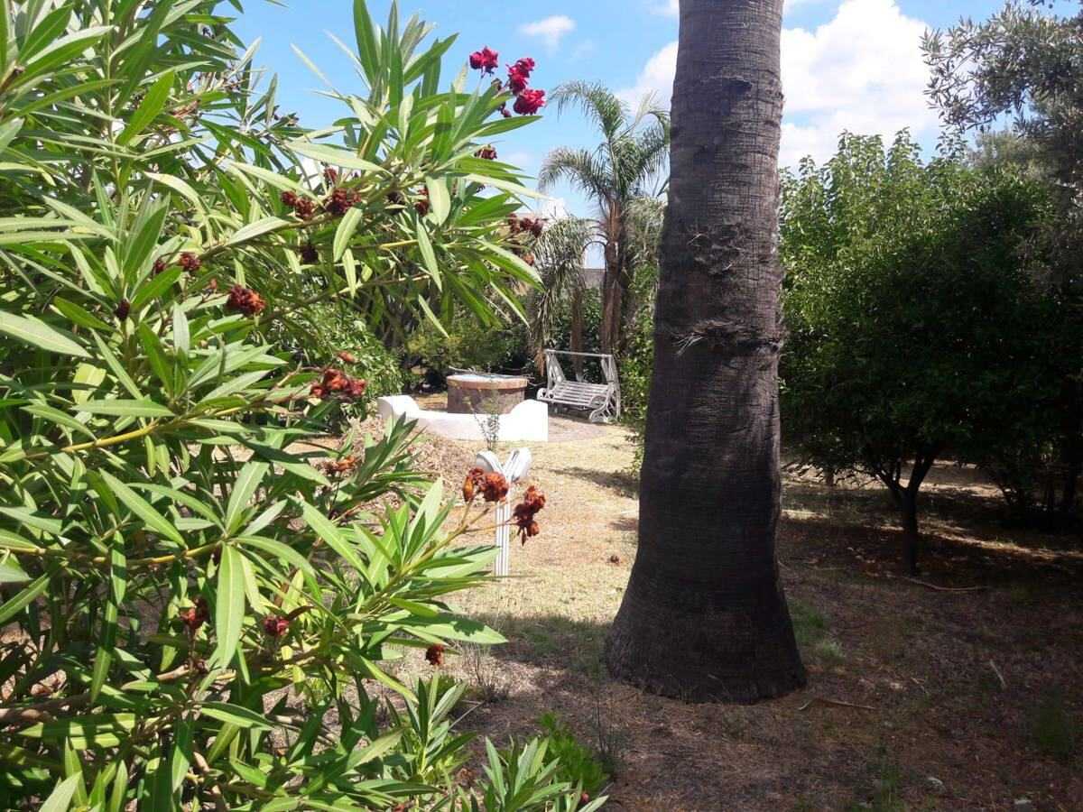  - foto 19