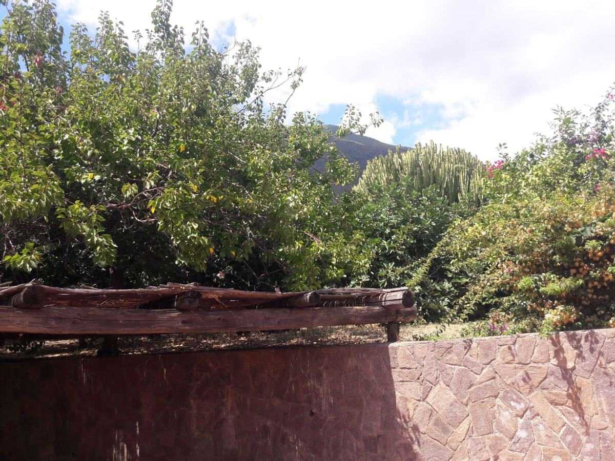  - foto 23