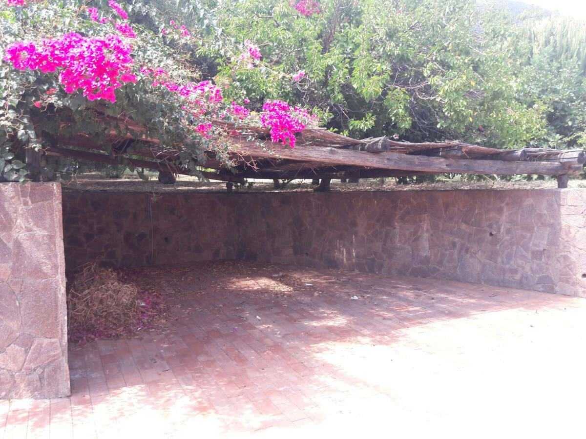  - foto 31
