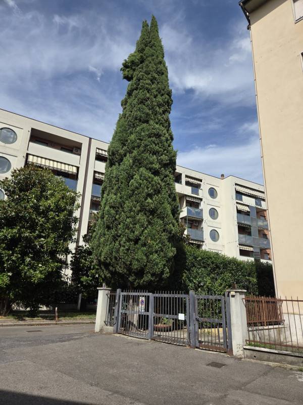  - foto 3
