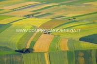 Terreno agricolo Santa Maria di Sala, Santa Maria di Sala
