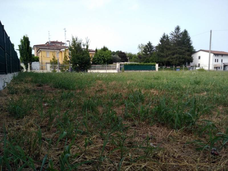 Altro, Carpi
