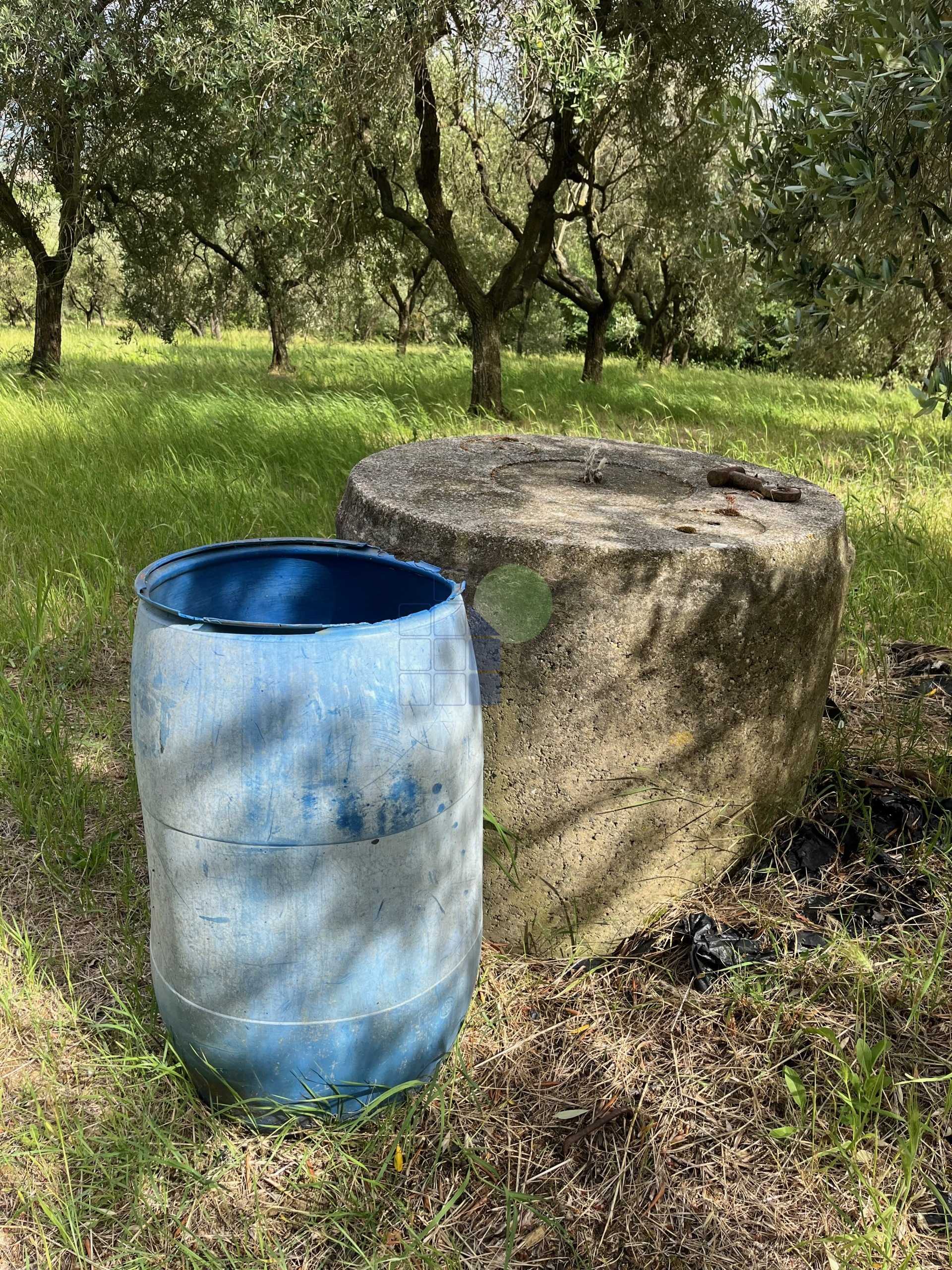  - foto 16