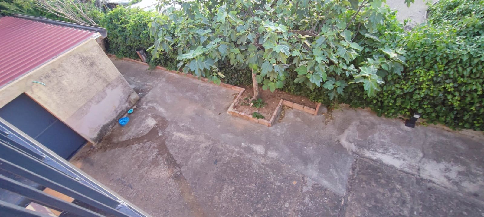  - foto 19
