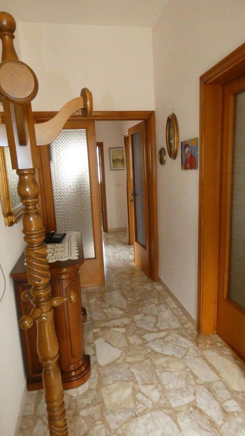  - foto 11