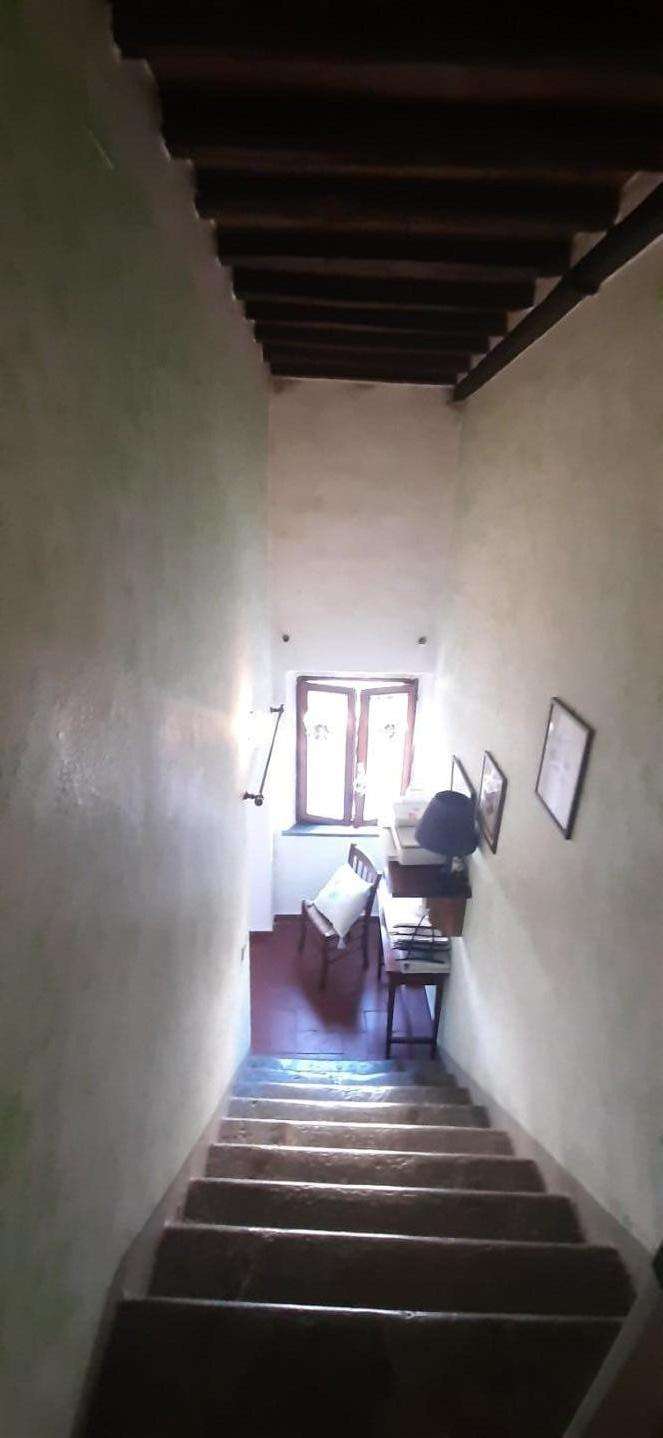  - foto 24