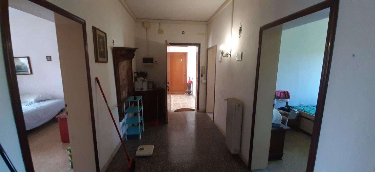  - foto 11