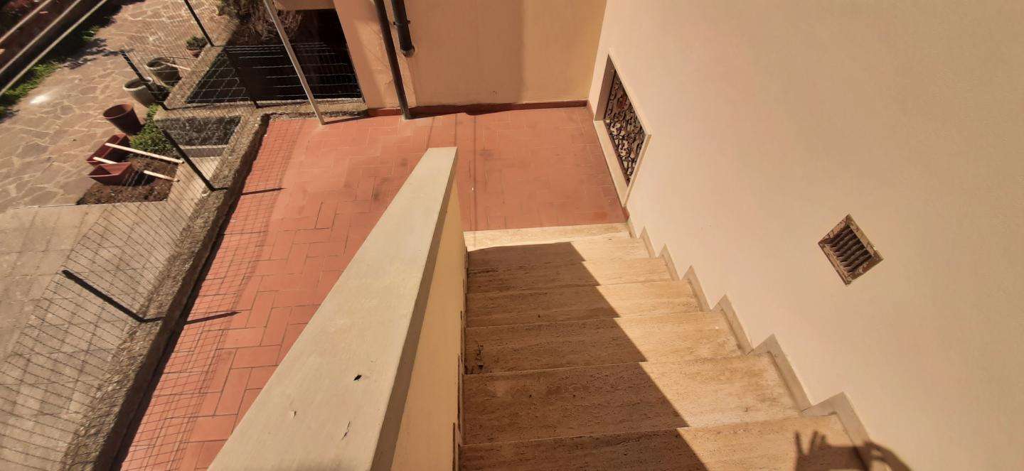  - foto 11
