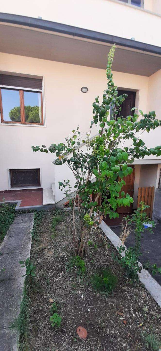  - foto 54