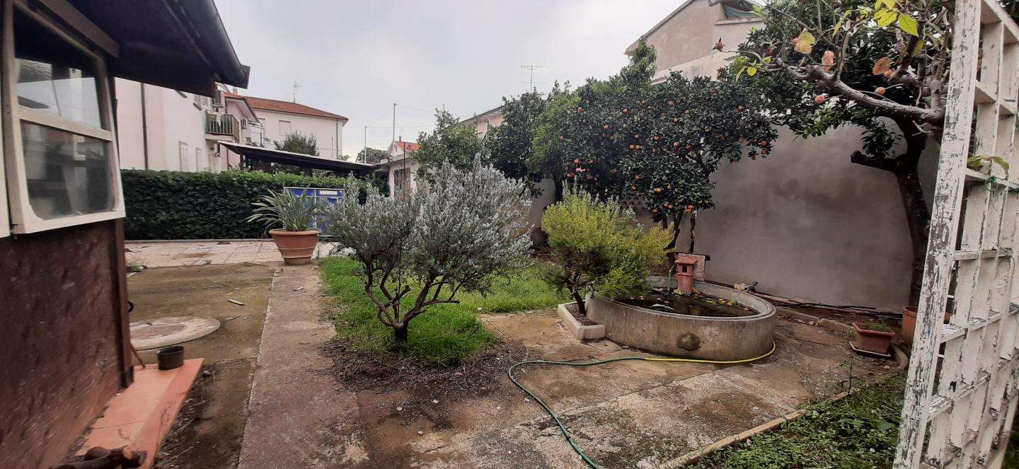  - foto 47