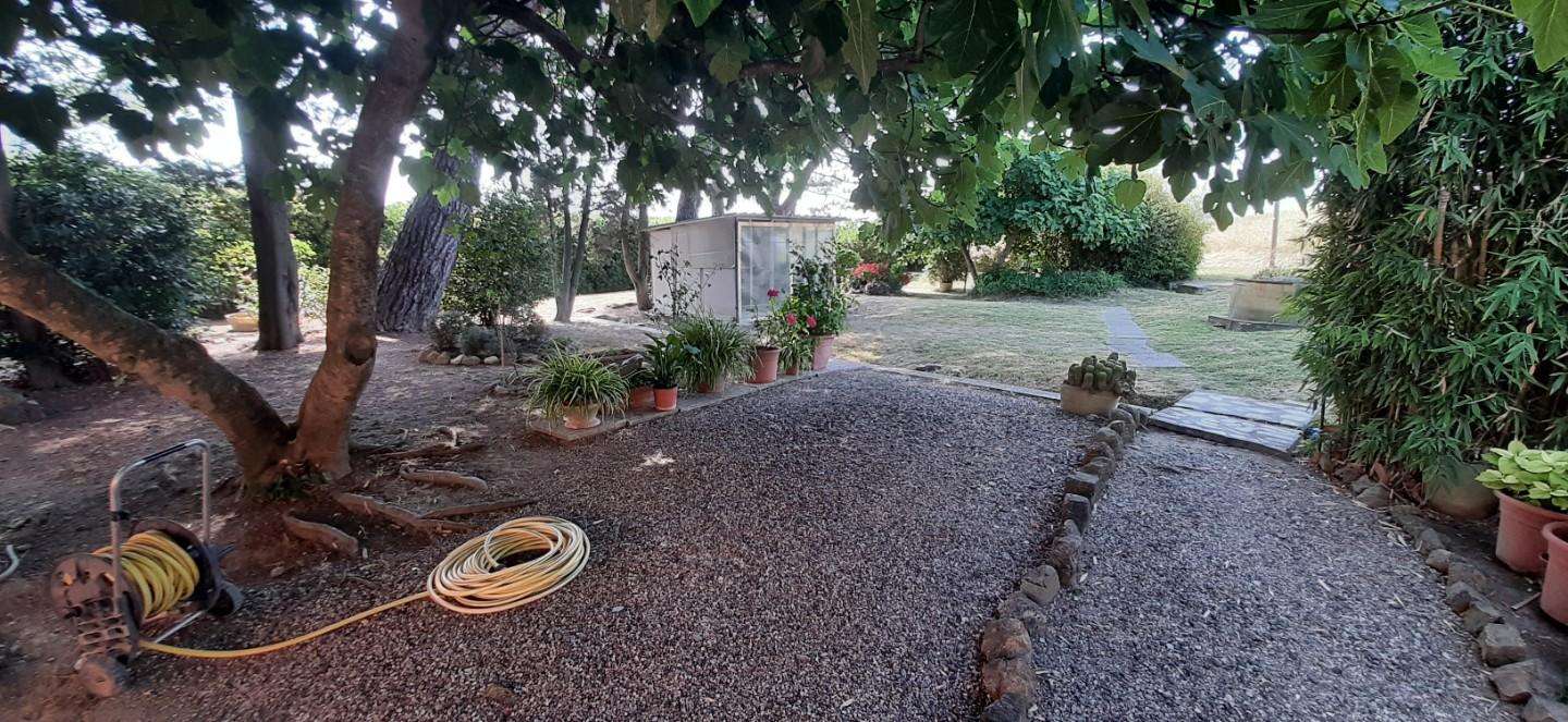  - foto 13