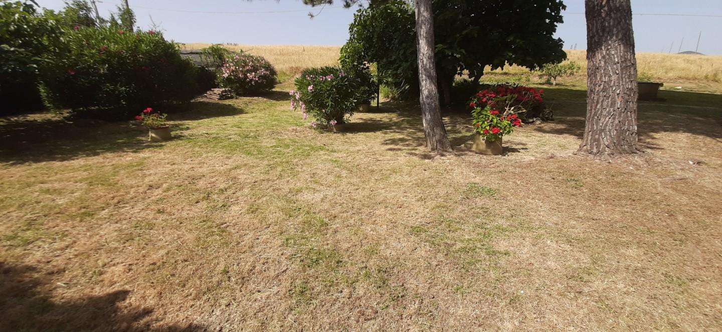  - foto 15