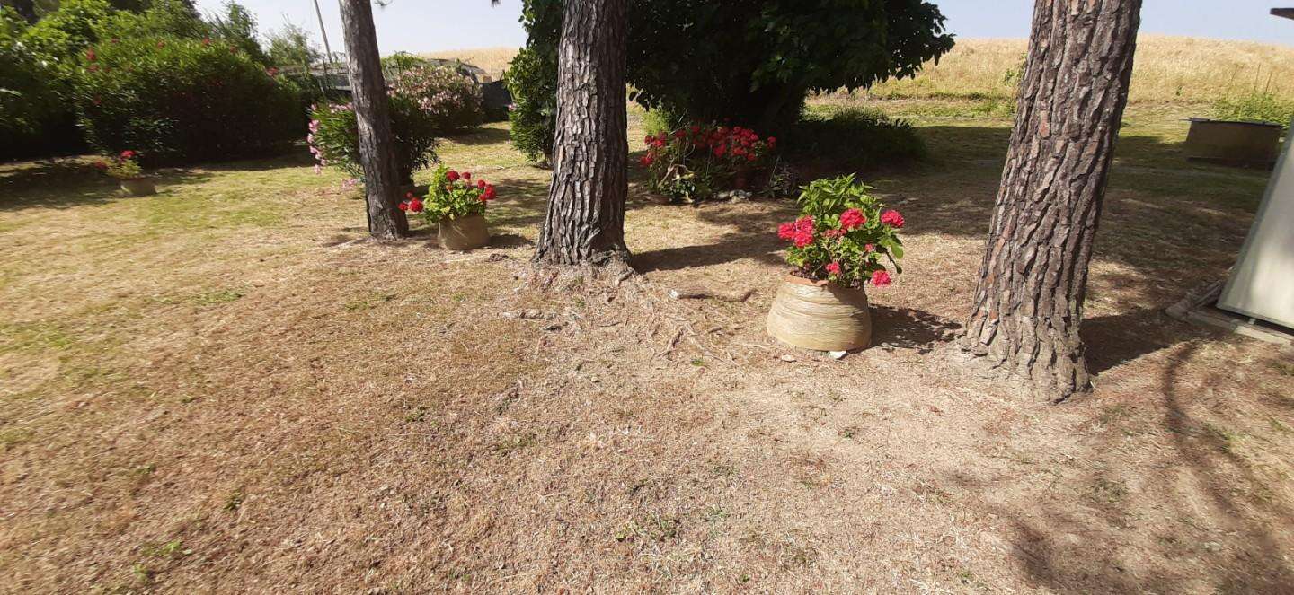  - foto 16