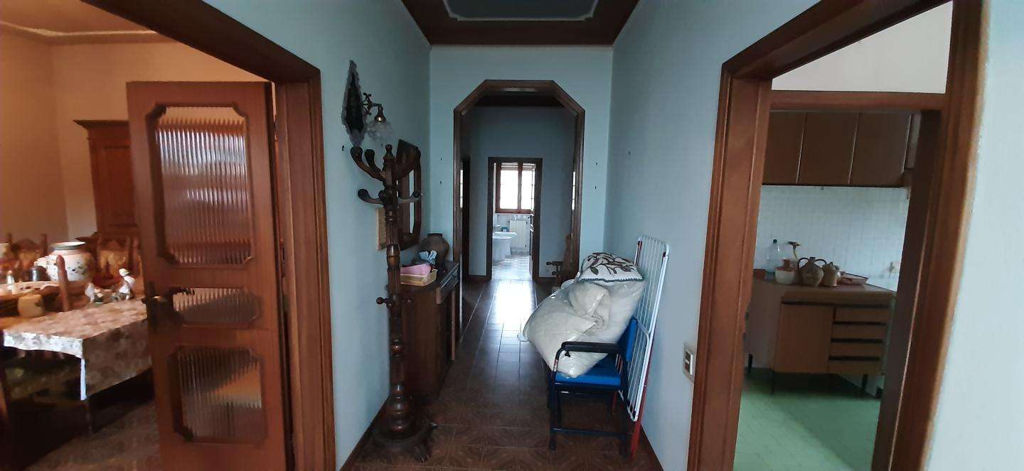  - foto 13