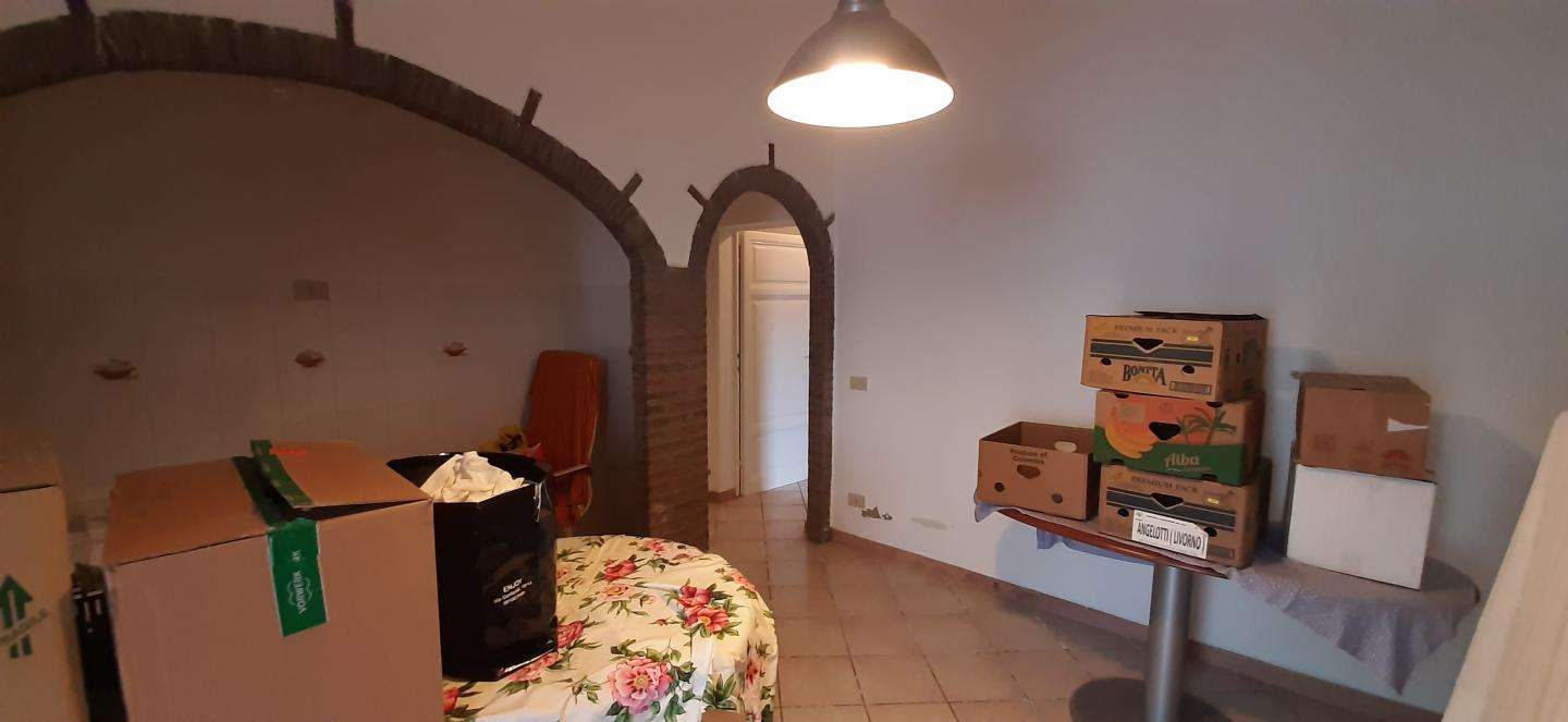  - foto 37