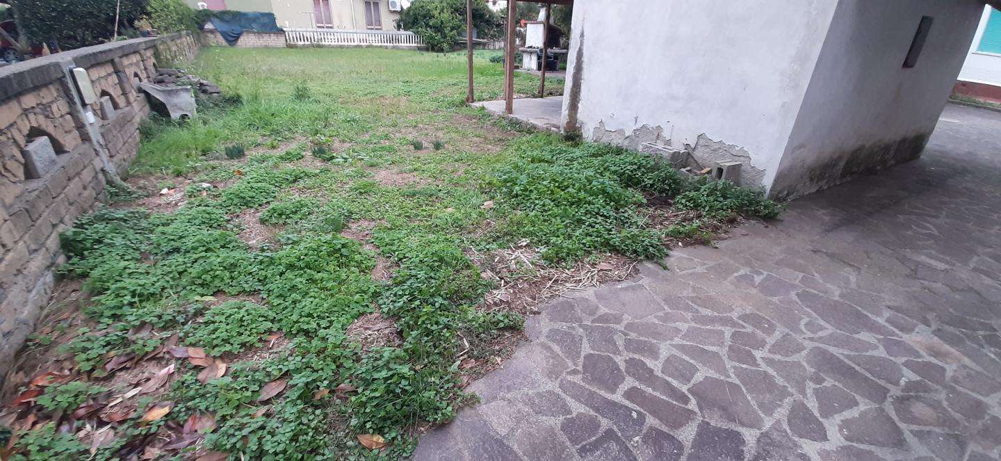  - foto 54