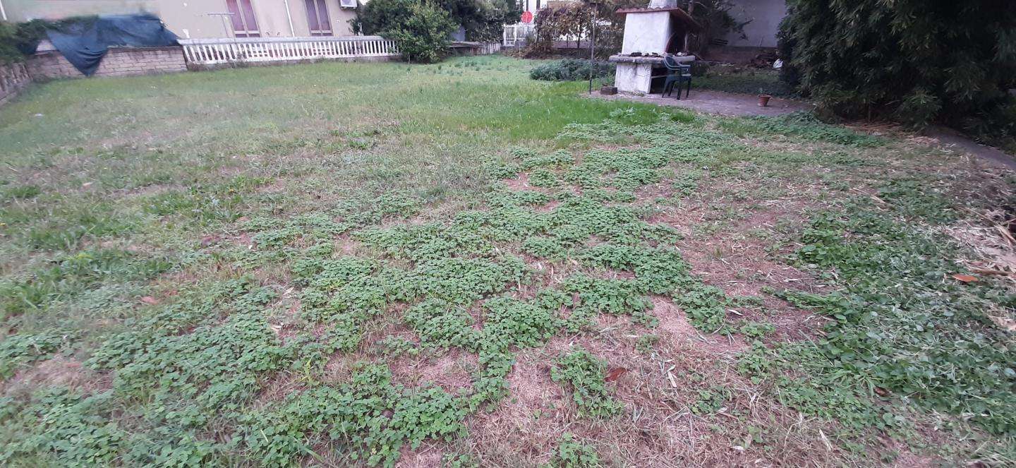  - foto 56