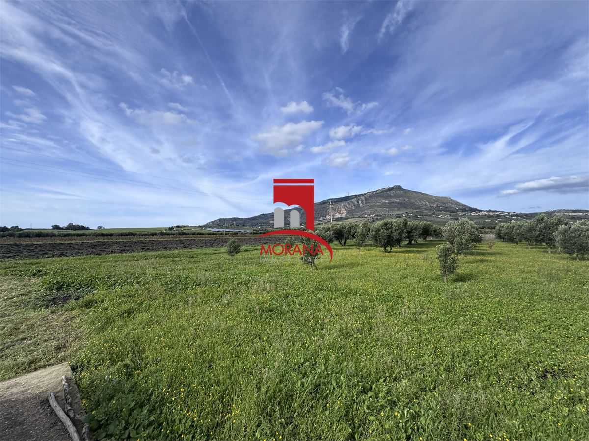 Terreno agricolo Strada Palermo Milo, Erice
