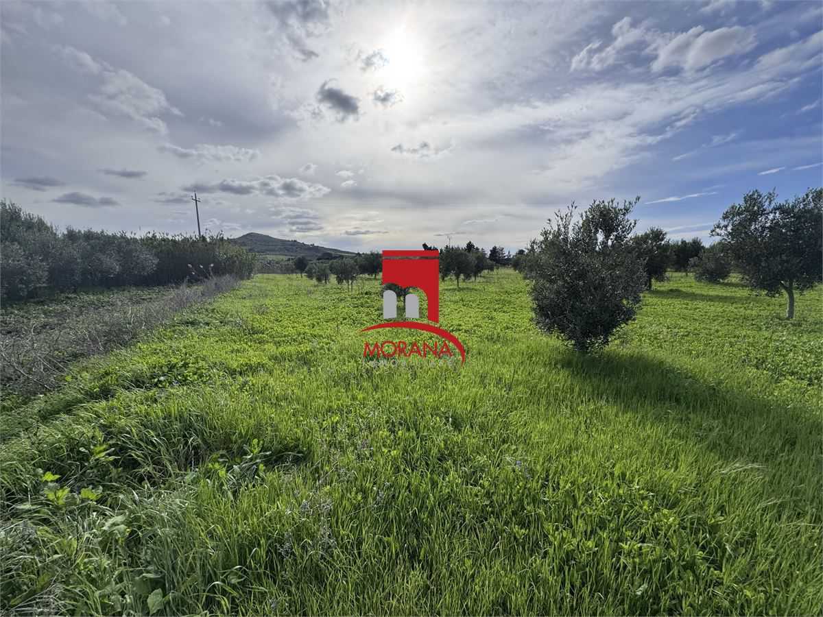 - foto 9