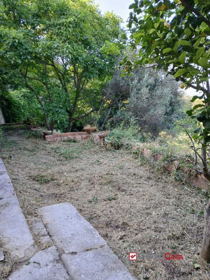  - foto 6