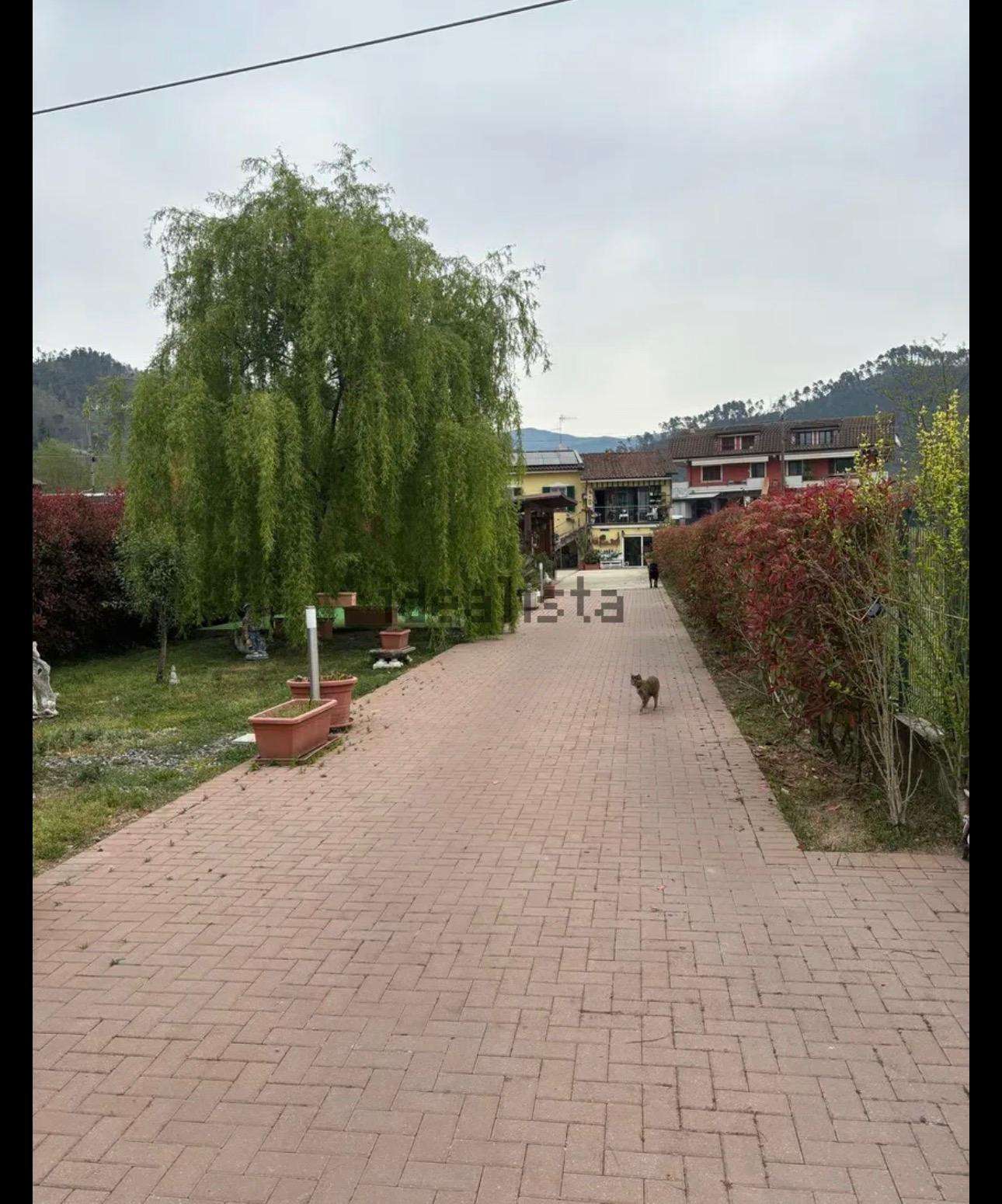  - foto 15