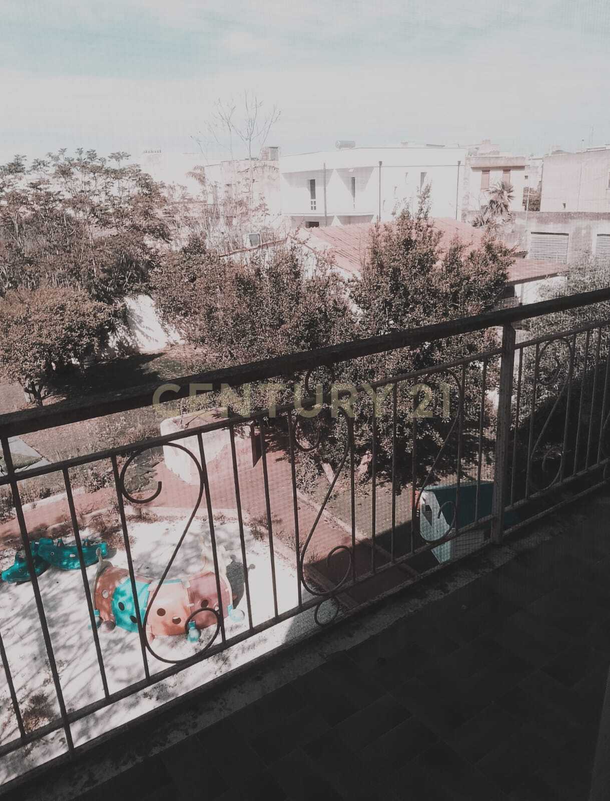  - foto 6