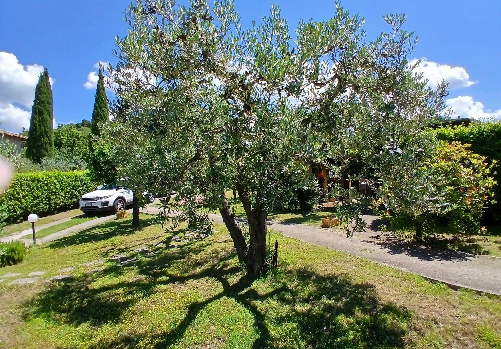  - foto 12