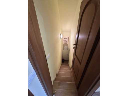  - foto 42